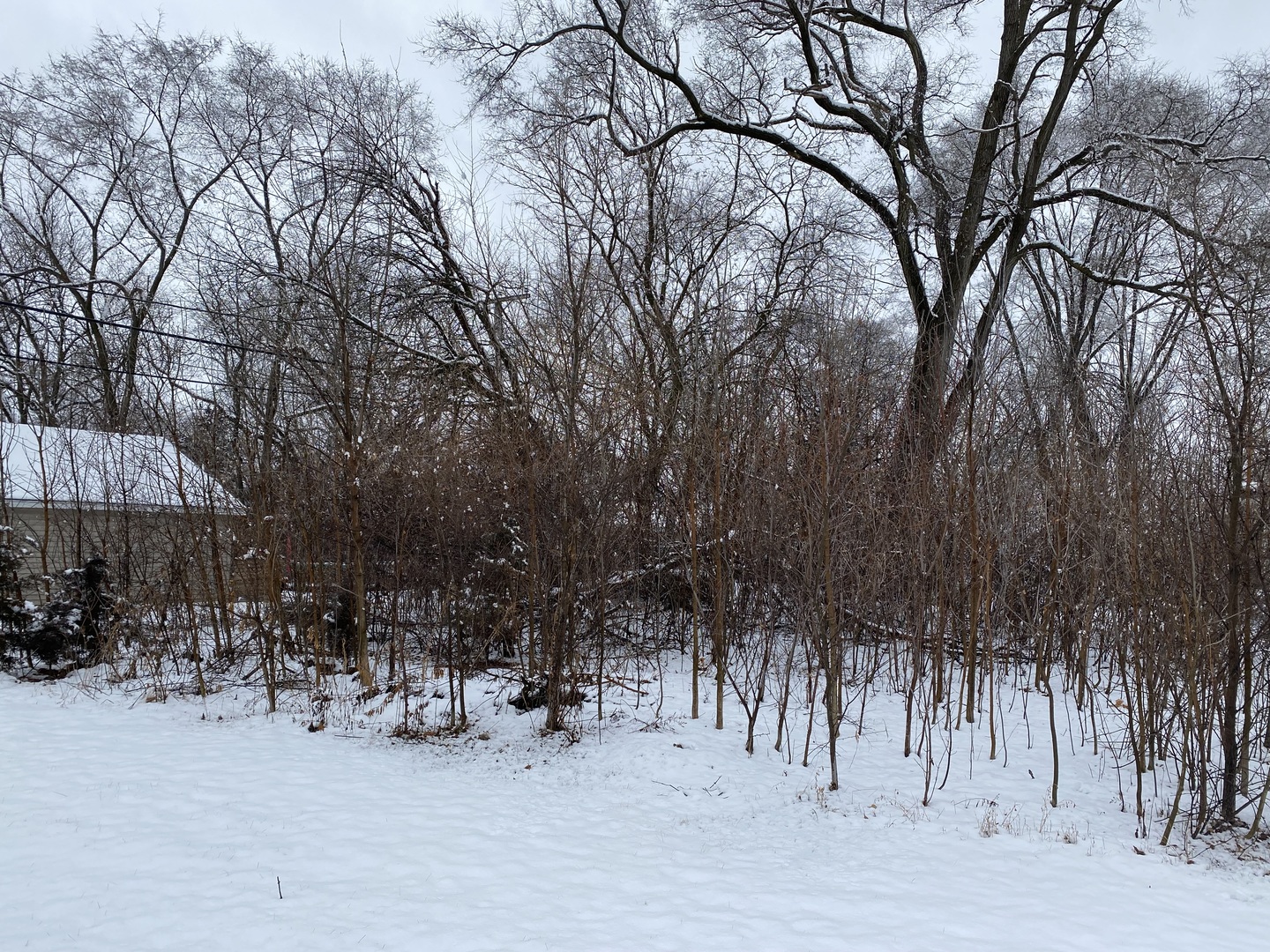 411 North Lily Lake Road Mchenry IL 60051