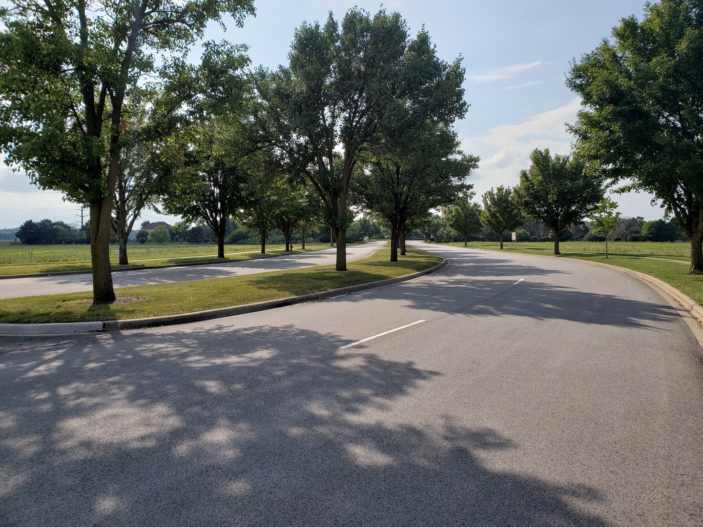 000000 Dayfield Drive Plainfield IL 60544