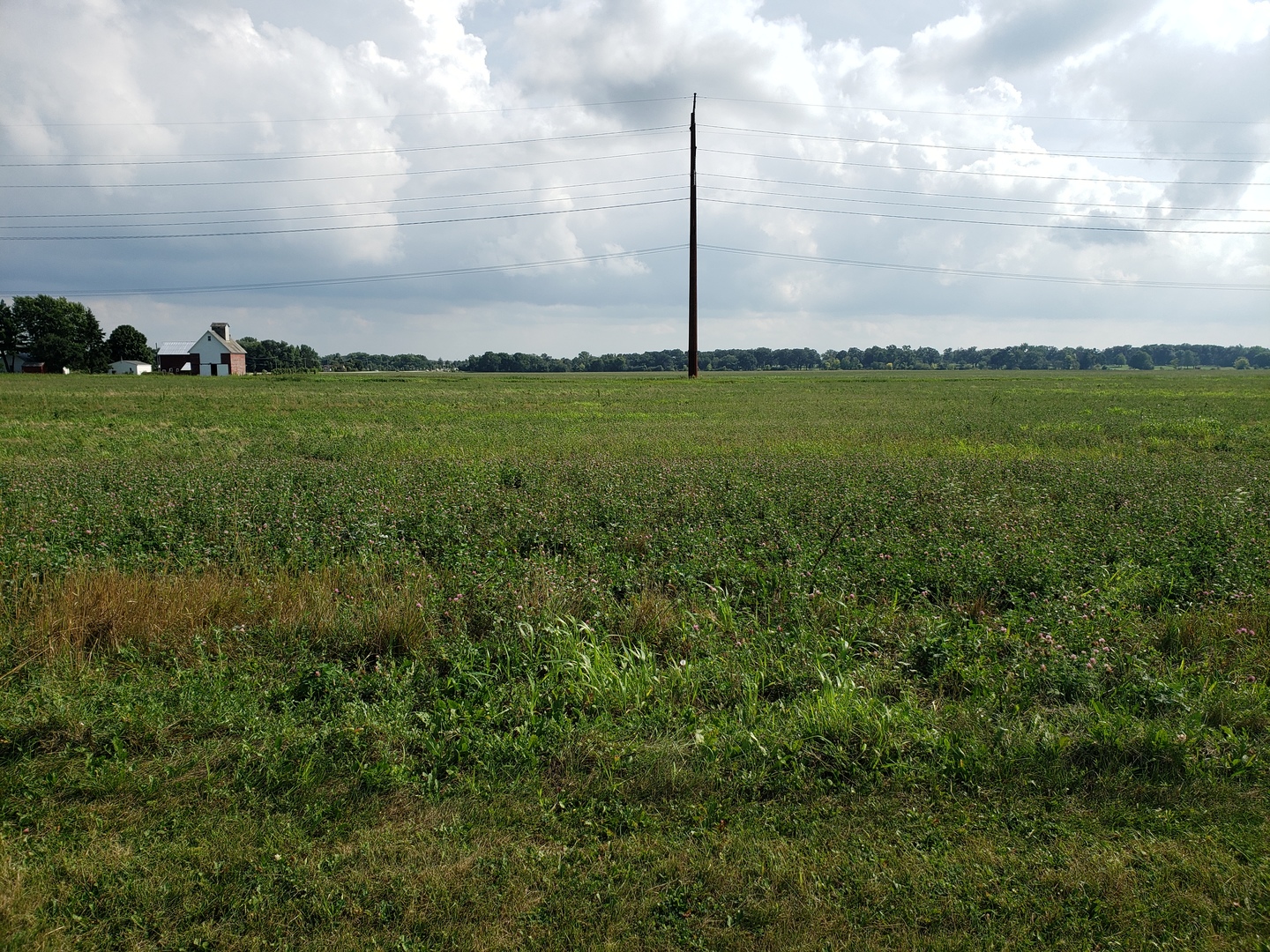 Dayfield Drive Plainfield IL 60544