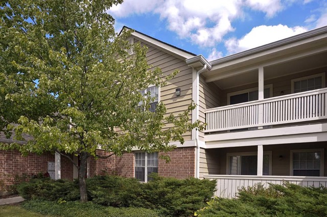 63 Aster Drive Schaumburg IL 60173