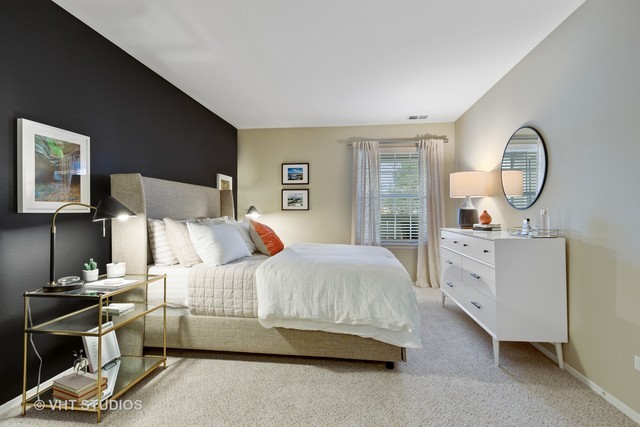 63 Aster Drive Schaumburg IL 60173