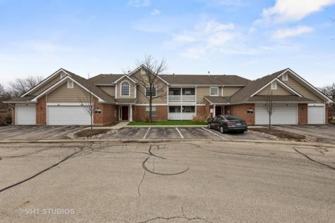 63 Aster Drive Schaumburg IL 60173