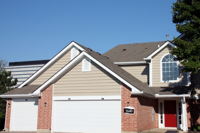 63 Aster Drive Schaumburg IL 60173