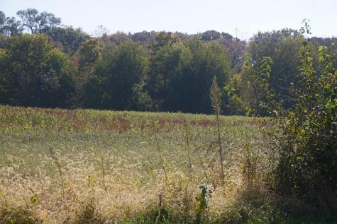 Sec8 West Eames Street Channahon IL 60410