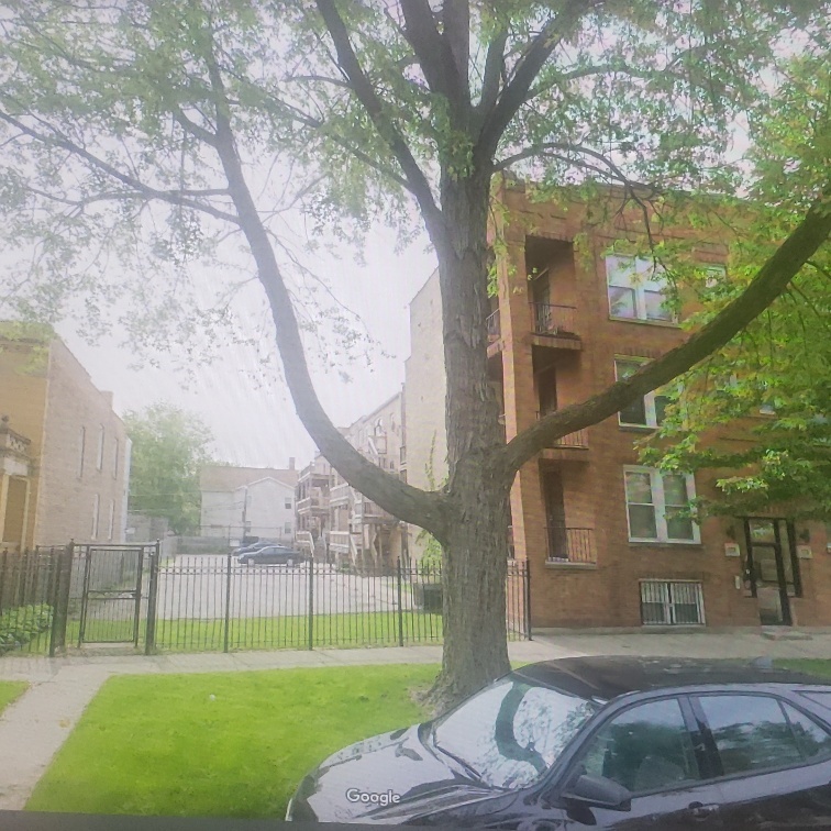 6800 South Dante Avenue Chicago IL 60637
