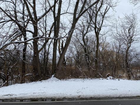 95 W South Drive Lakemoor IL 60051