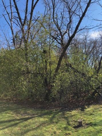 6503 Clarendon Hills Road Willowbrook IL 60527