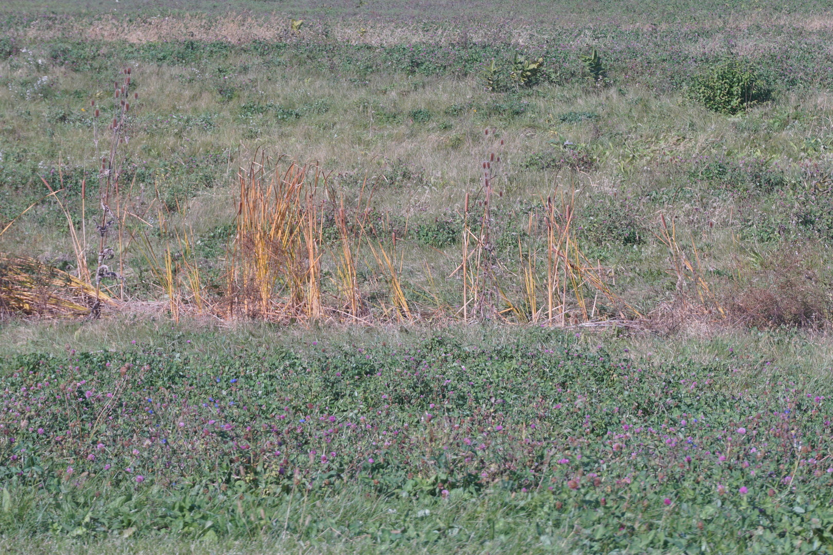 Lot 4 South Route 52 Road Manhattan IL 60442