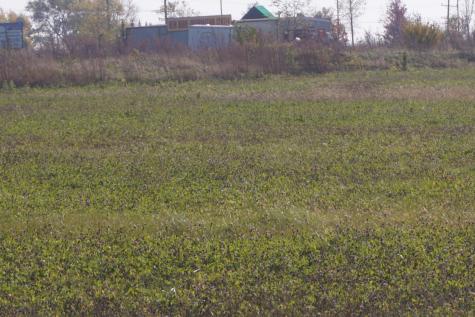 Lot 4 South Route 52 Road Manhattan IL 60442