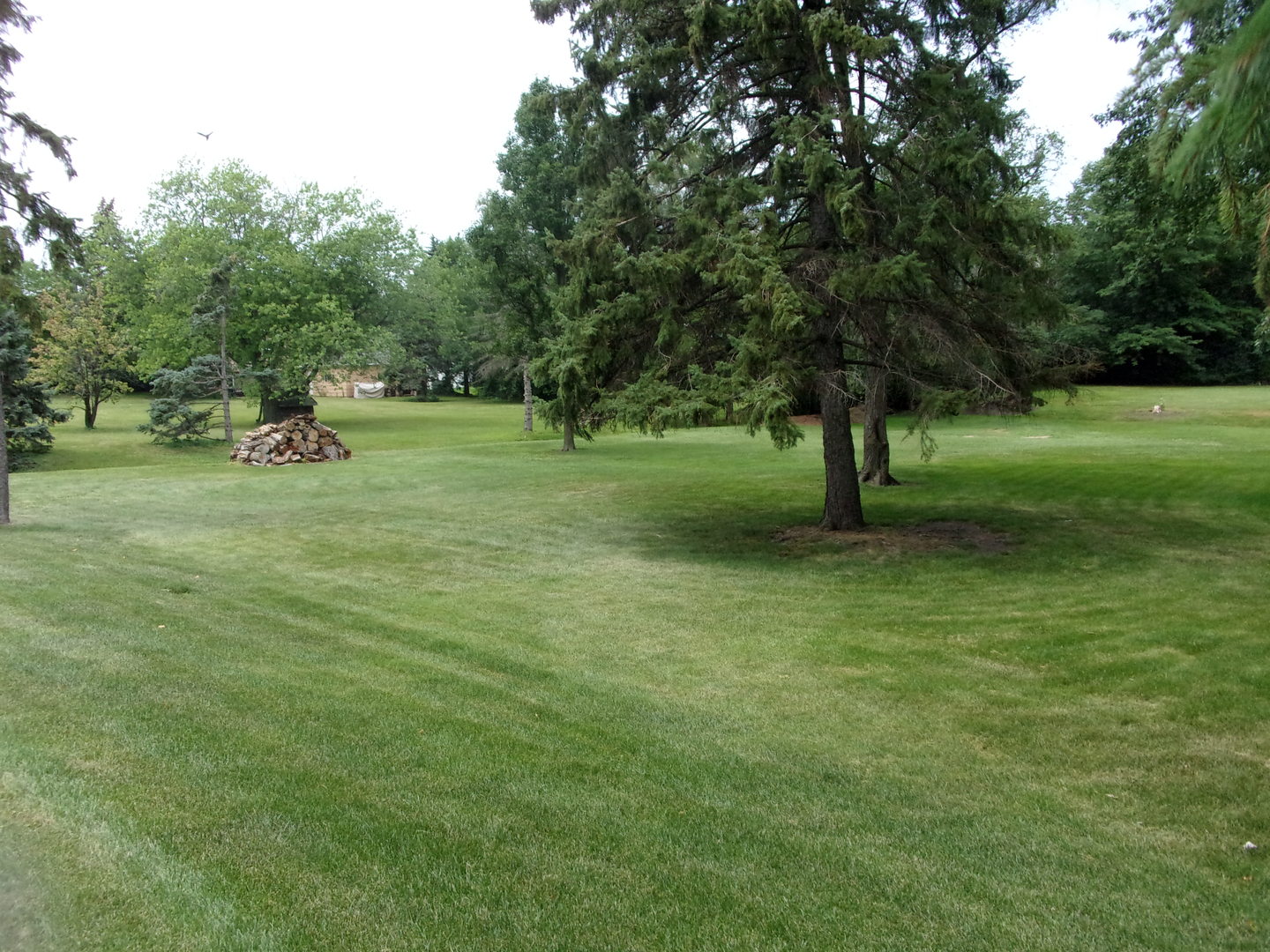 232 Eastgate Road Lombard IL 60148