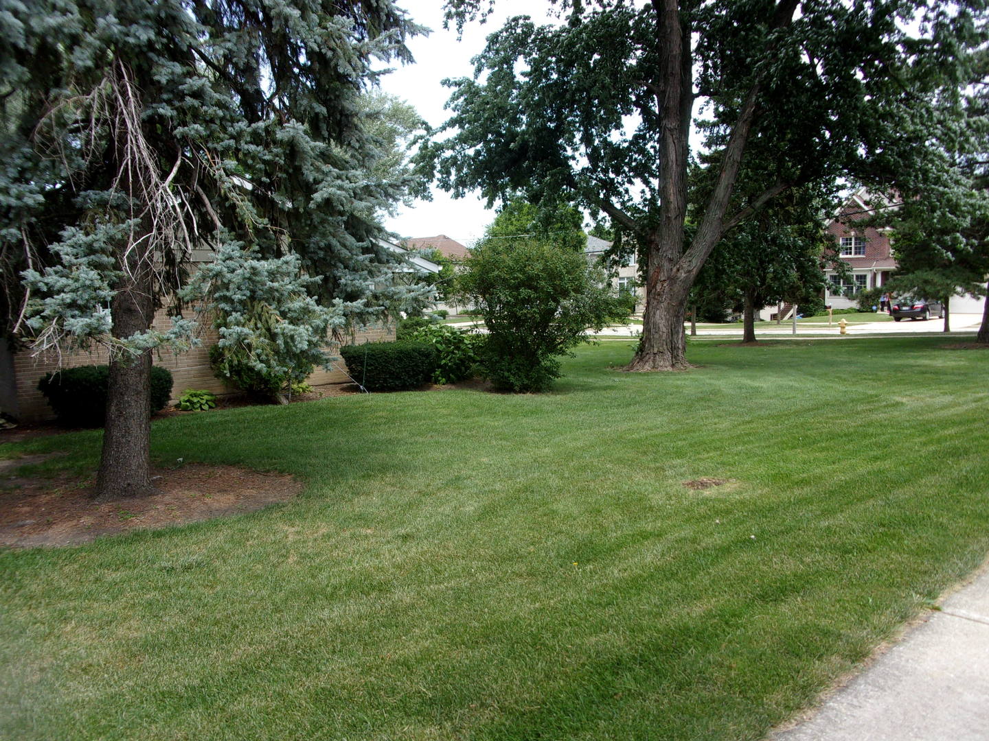 232 Eastgate Road Lombard IL 60148