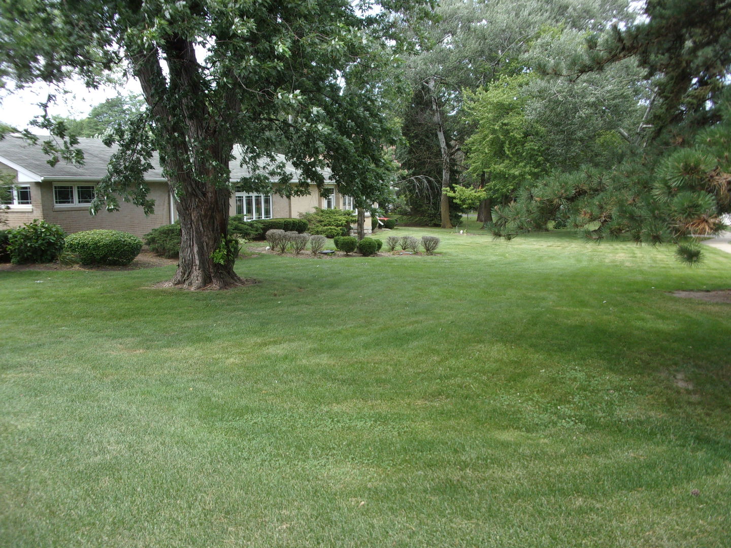 232 Eastgate Road Lombard IL 60148